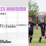 サンフレッチェ広島サッカースクールの評判は？料金や特徴・口コミなどを徹底解説